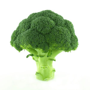 Broccoli