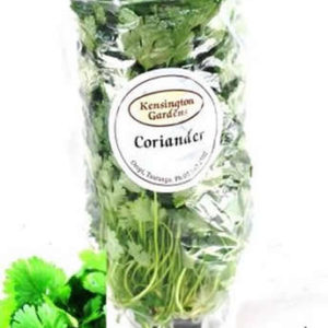 Coriander Living Herb