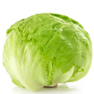 Iceberg Lettuce