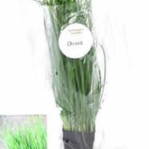 Chives Living Herbs