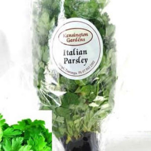 Parsley Living Herb