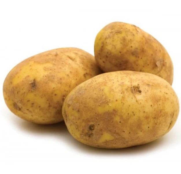 Agria Potatoes Loose - Highfield Market