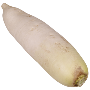 Daikon Radish