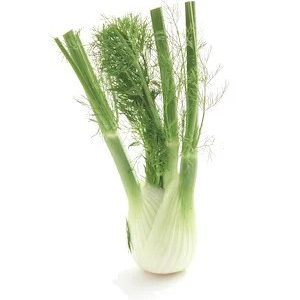 Fennel Bulbs Loose
